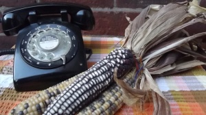 A phone (r) and some corn (l - see item 18 below)